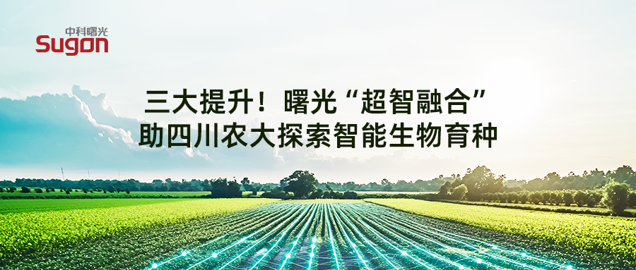 1747276027303846.png 640-7.png