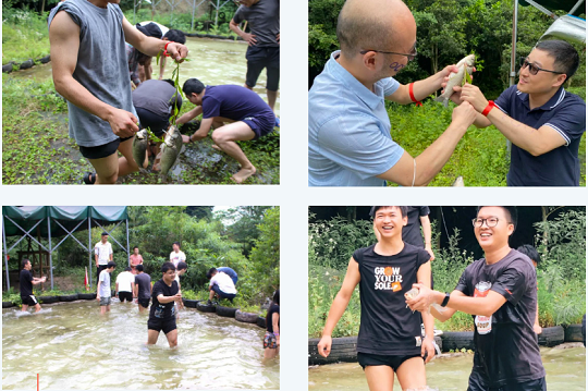 1661135588858721.png 01.png