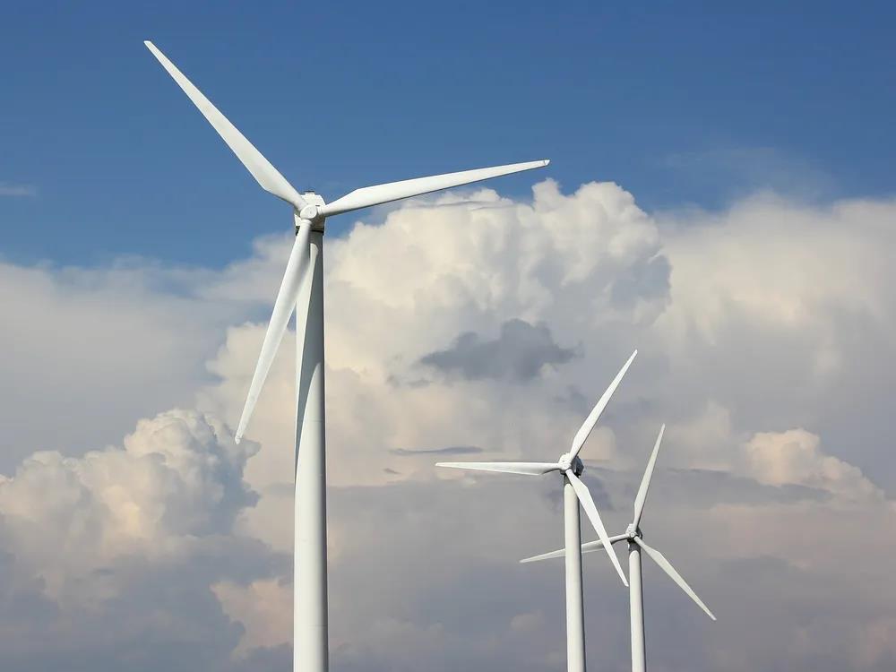 1637633150780664.jpeg 1637633150780664.jpeg